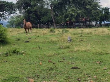 place photo 44