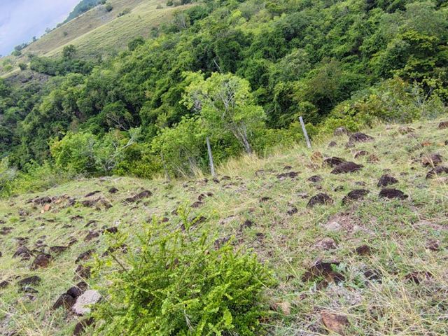 place photo 45