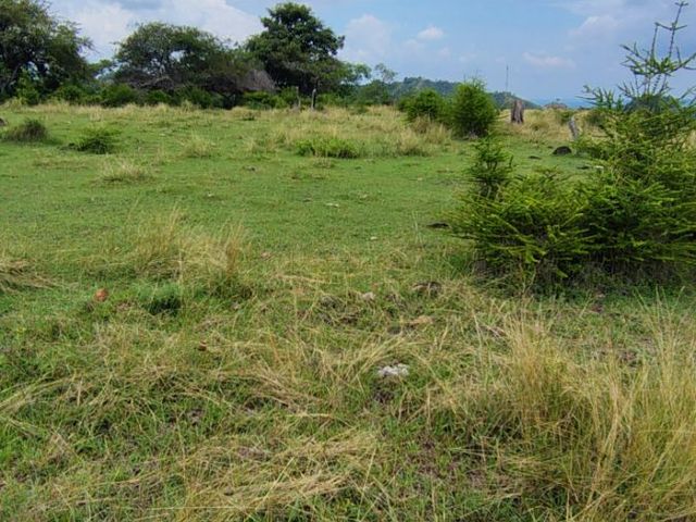 place photo 46