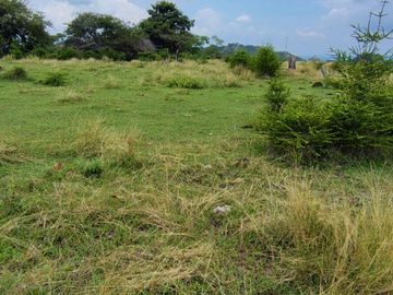 place photo 46