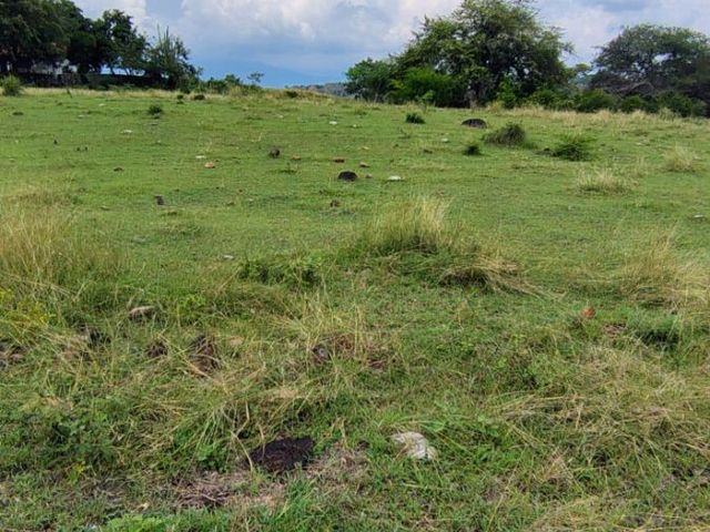 place photo 47