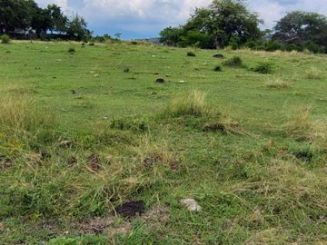 place photo 47