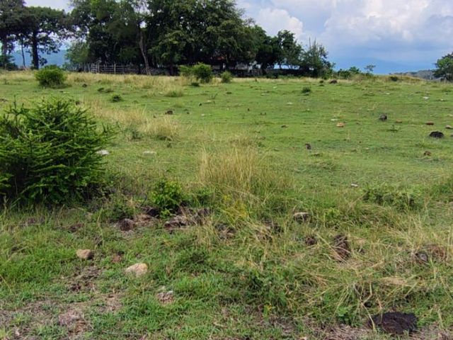 place photo 48