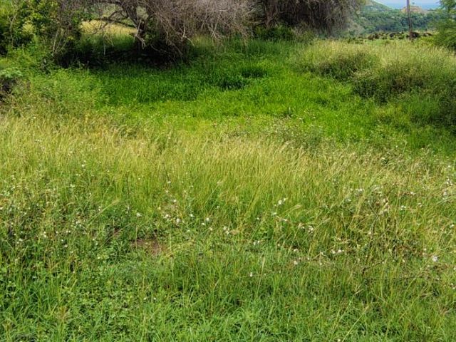 place photo 49