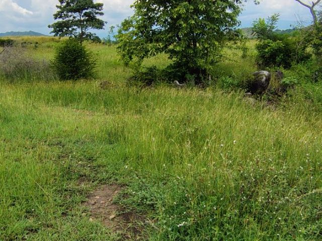 place photo 50