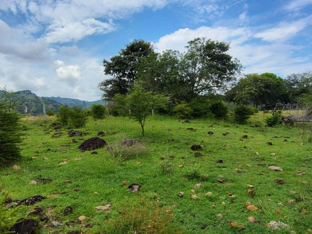 place photo 55