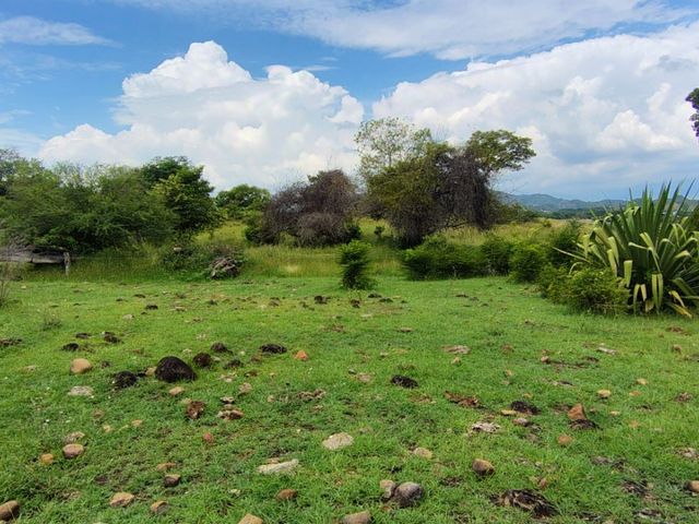 place photo 56