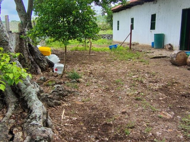 place photo 74