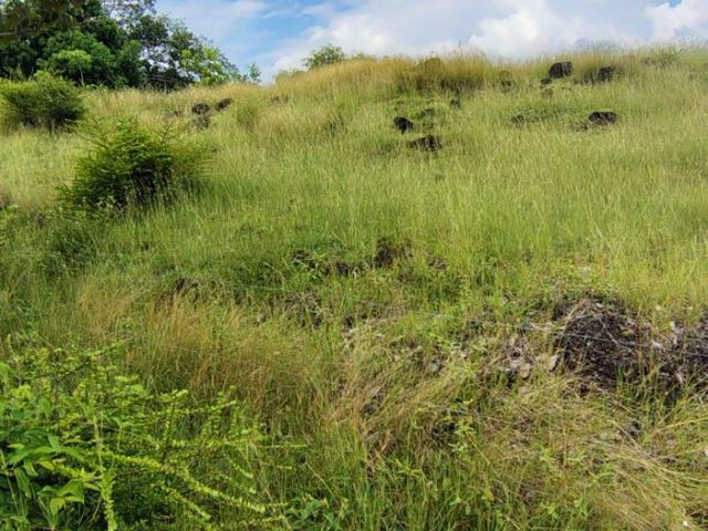 place photo 62