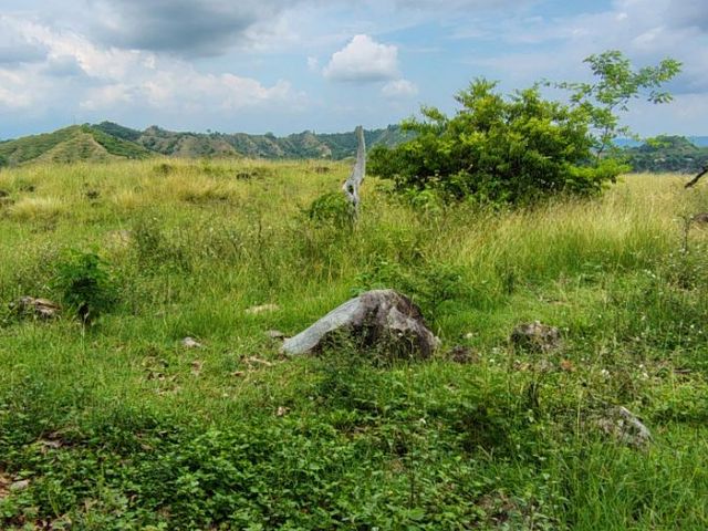 place photo 63