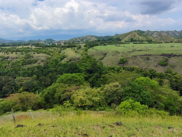 place photo 67