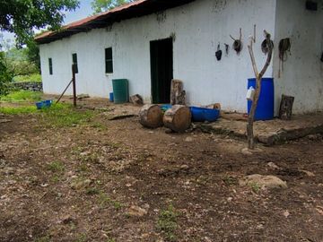 place photo 73