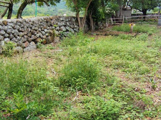 place photo 92