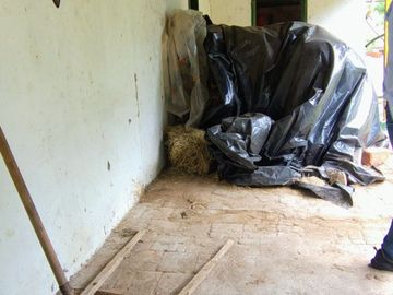 place photo 85