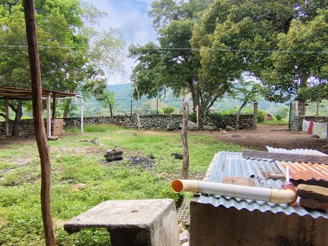 place photo 86