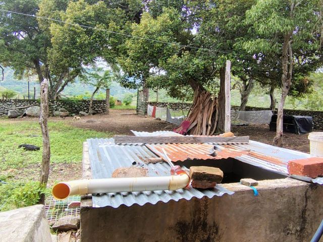 place photo 87