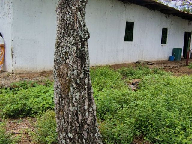 place photo 94