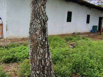 place photo 94