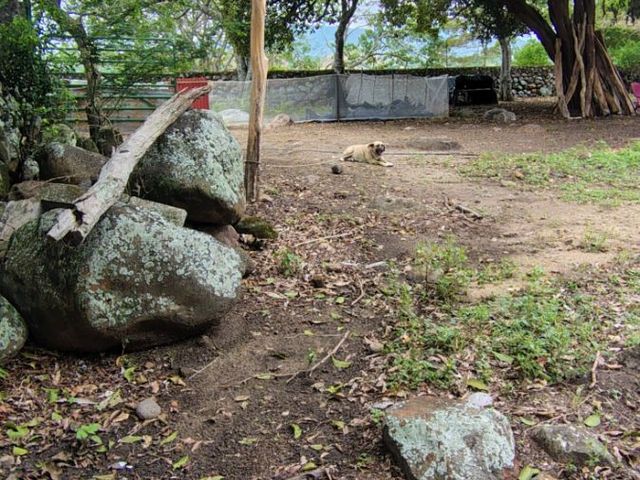 place photo 98