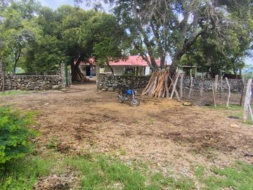 place photo 103