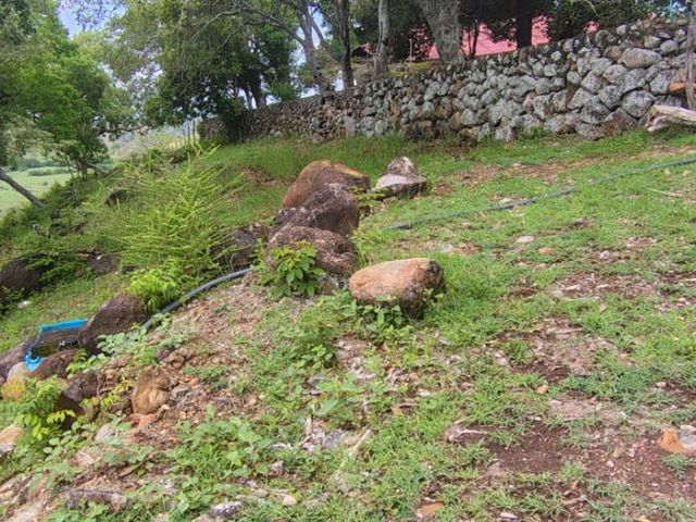place photo 105