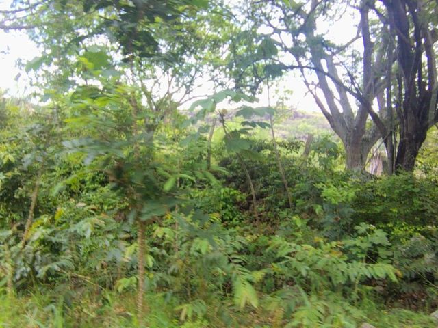 place photo 110