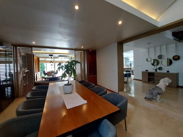 place photo 50