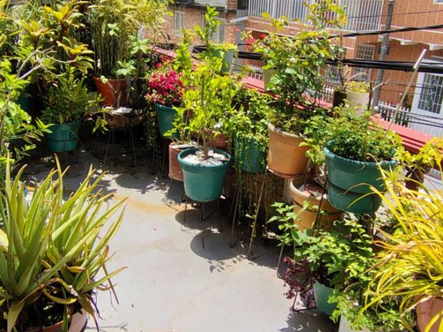 place photo 41