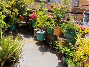 place photo 41