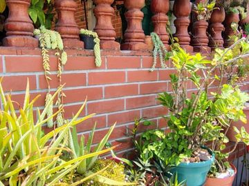 place photo 42