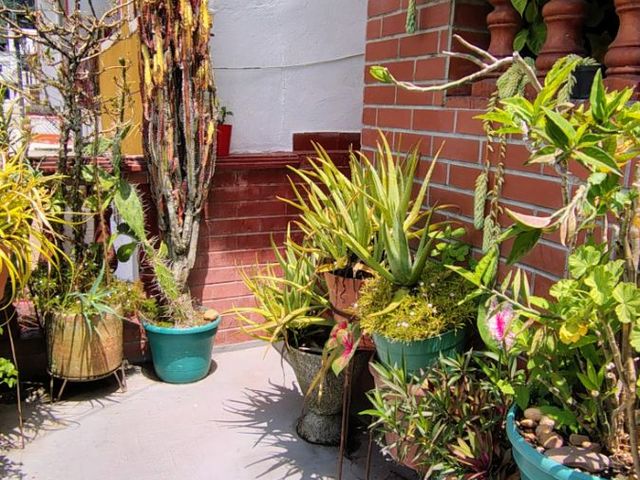 place photo 43