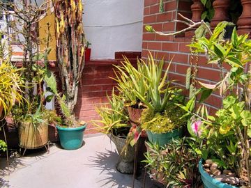 place photo 43