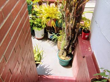 place photo 40