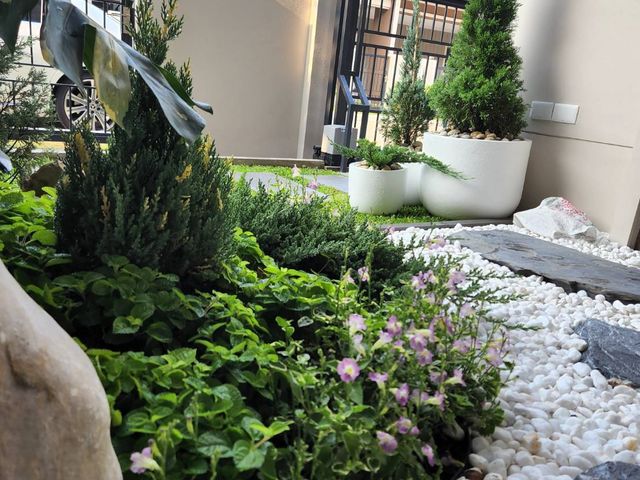 place photo 37