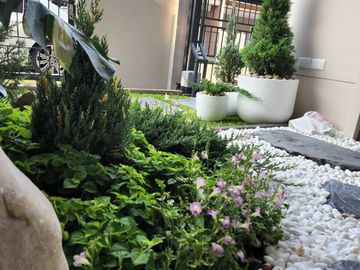 place photo 37