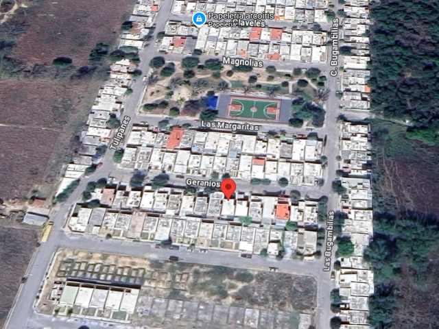 place photo 6