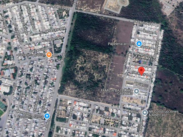 place photo 7