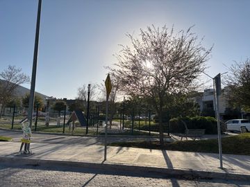 place photo 32