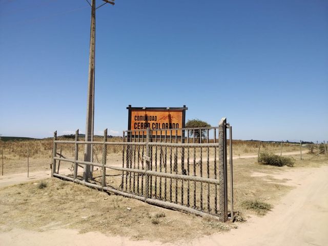 place photo 39