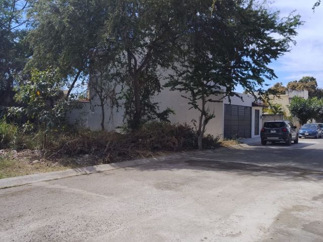 place photo 3