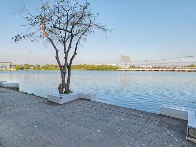 place photo 40