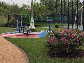 place photo 23