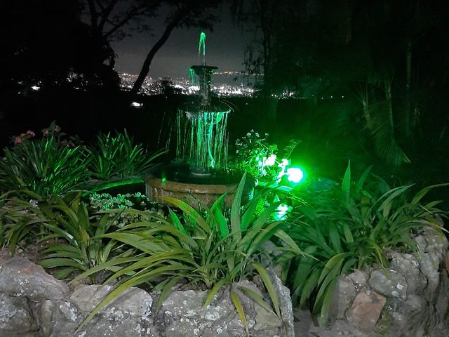 place photo 37