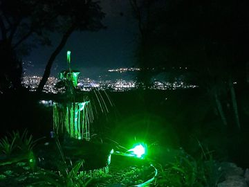 place photo 39