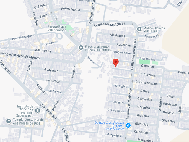 place photo 7