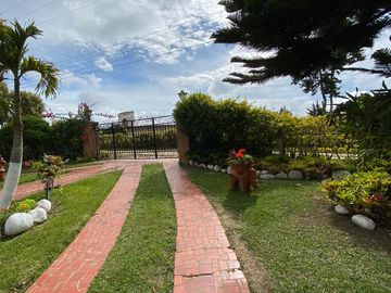 place photo 45