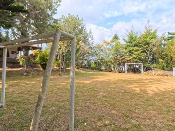 place photo 40