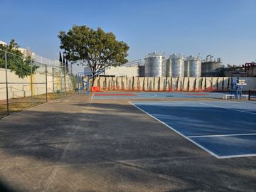 place photo 16