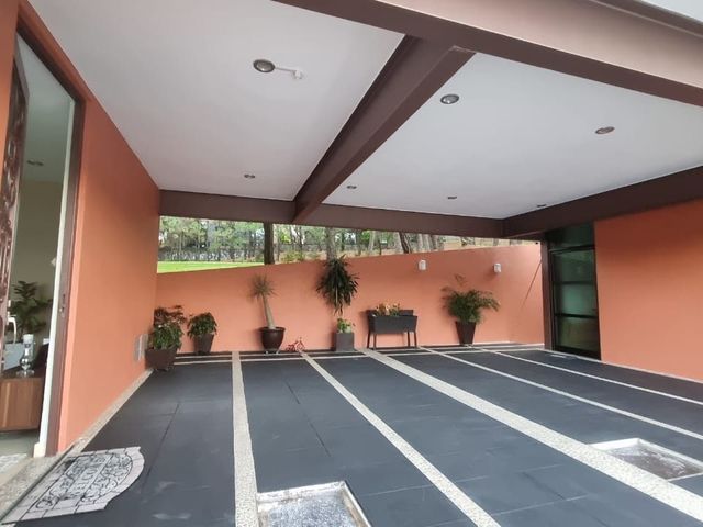 place photo 54