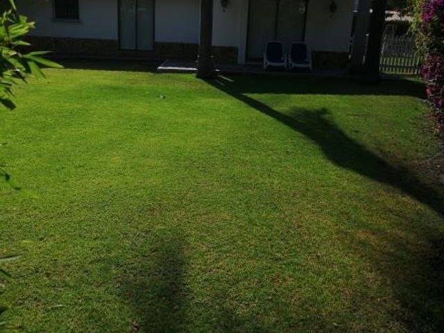 place photo 38